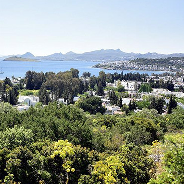 Bitez, BODRUM